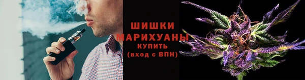 герыч Мегион
