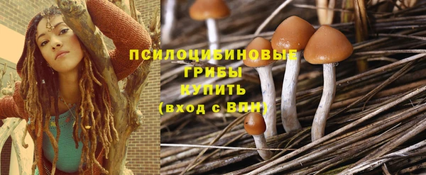 дурь Медногорск