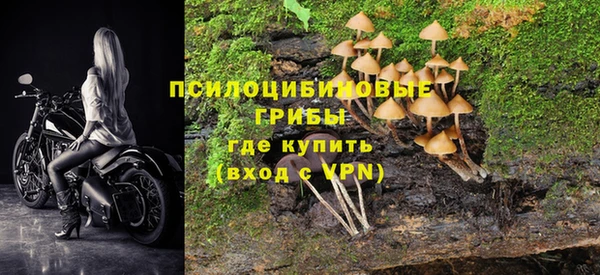 МДПВ Балахна