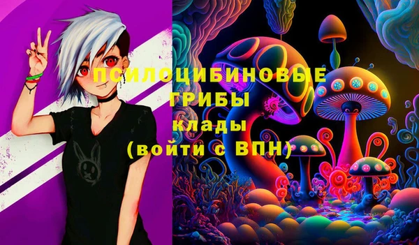 герыч Мегион