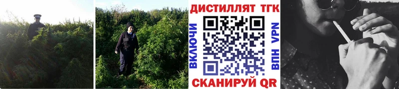 ТГК гашишное масло  Томари 